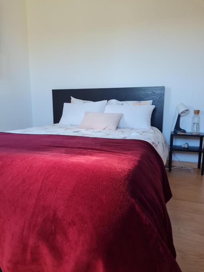 Quinta Jr - Casa De Campo Carregal  Экстерьер фото
