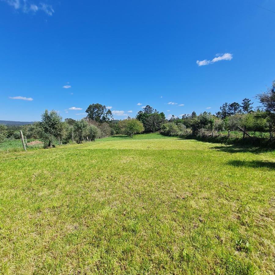 Quinta Jr - Casa De Campo Carregal  Экстерьер фото