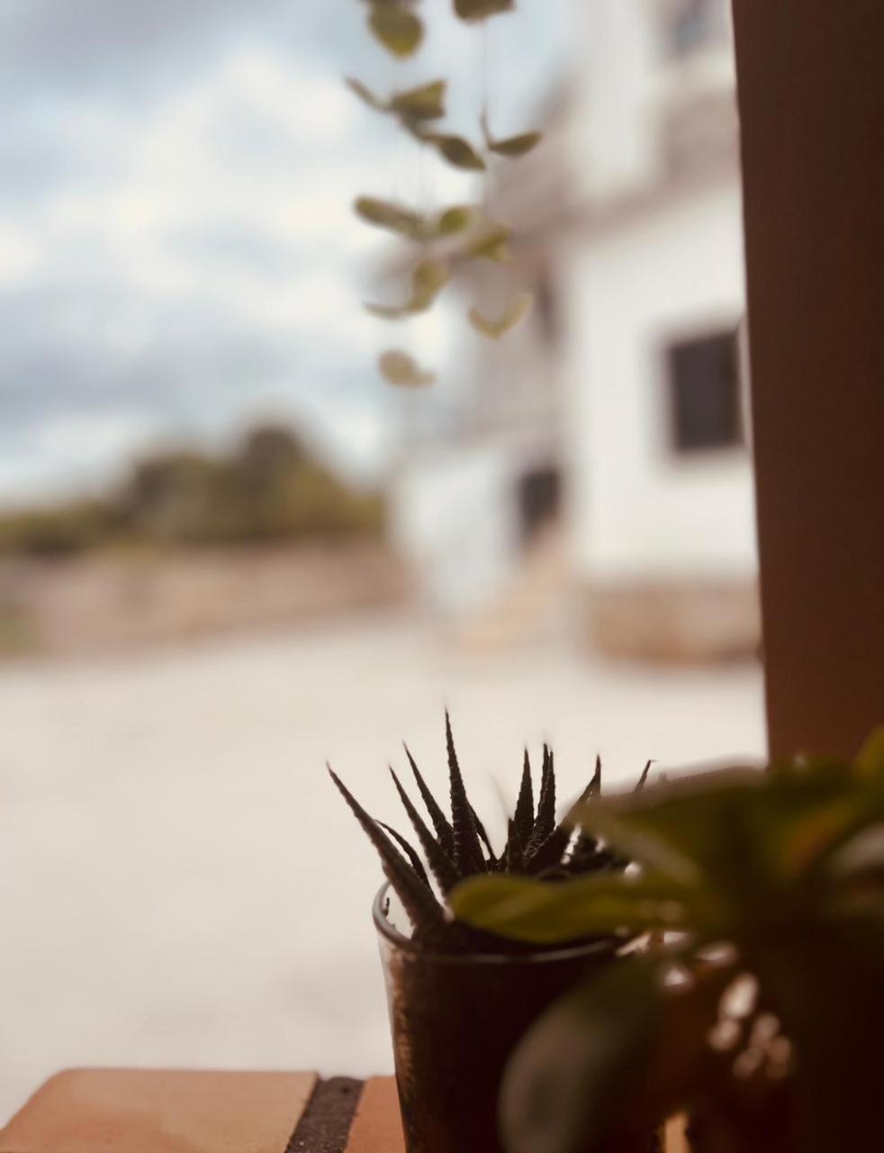 Quinta Jr - Casa De Campo Carregal  Экстерьер фото